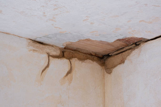 Best Mold removal after water damage  in North Little Rock, AR