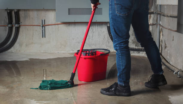 Best Water damage restoration company  in North Little Rock, AR
