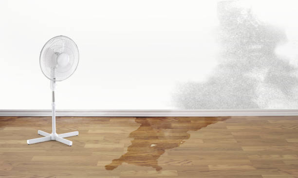 Best Water damage restoration mold remediation  in North Little Rock, AR