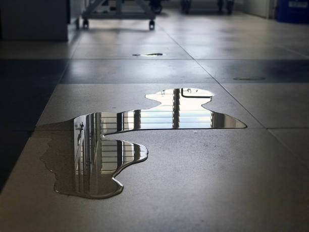 Best 24-hour water damage restoration  in North Little Rock, AR