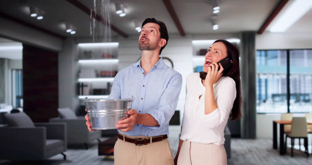 Best Mold removal after water damage  in North Little Rock, AR